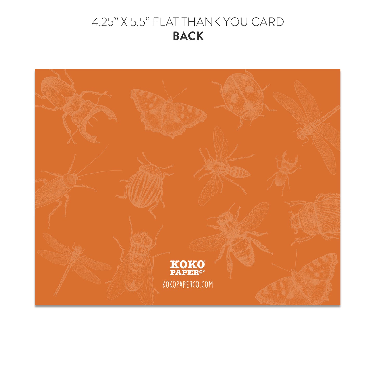 Bugs and Kisses Fill-in-the-Blanks Thank You Cards (Flat)